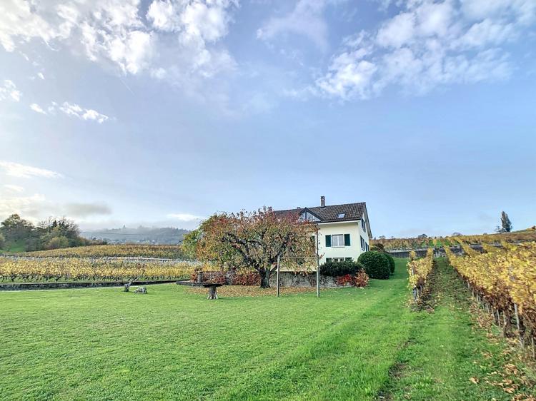 Detached house in the vineyards - Lake and Alps view