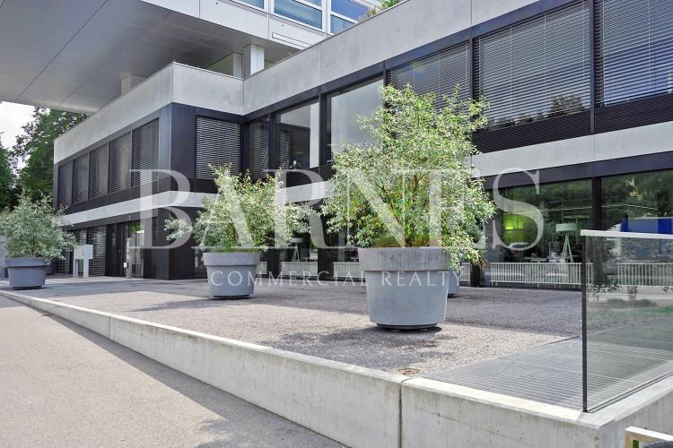 Magnificent fully furnished offices of 1,070 m2