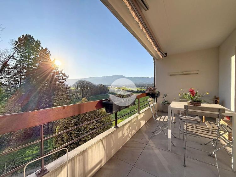 Beautiful 3-bedroom apartment