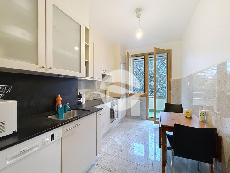 Château-Banquet Park - Magnificent 5-room apartment, close to the lake