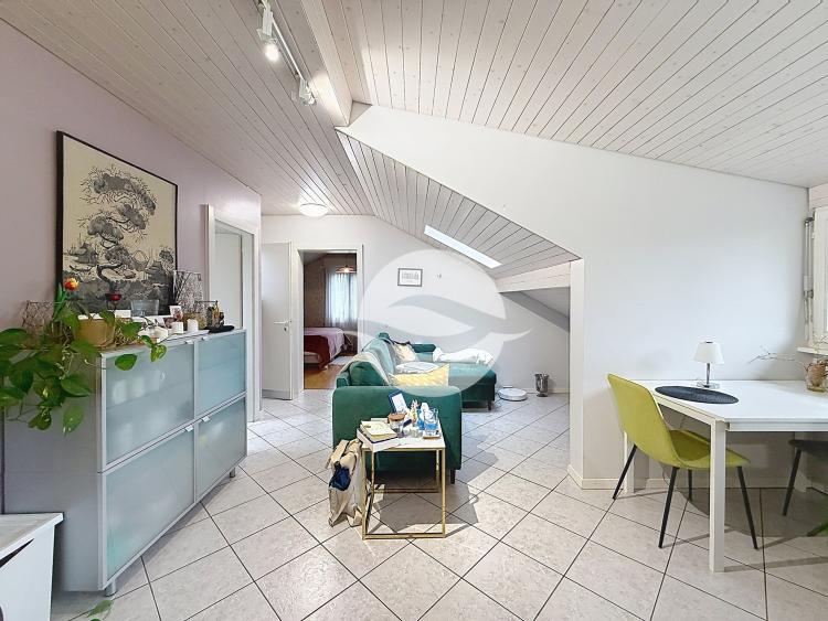 Charming 2.5-room furnished apartment under the eaves