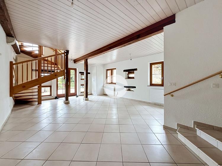 Semi-detached house with 5.5 rooms in a renovated old farmhouse with terrace and garden