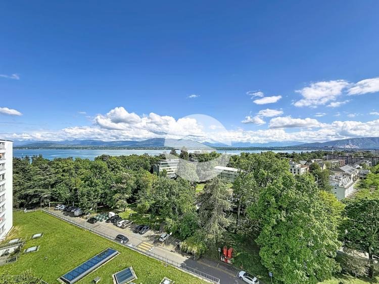 5.5 rooms - 3 bedrooms with lake and Alps views