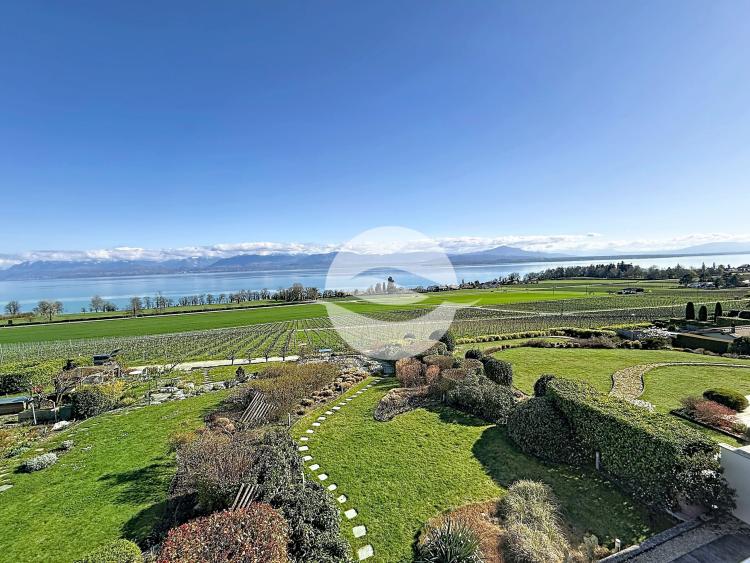 Superb furnished apartment with lake and Alps views