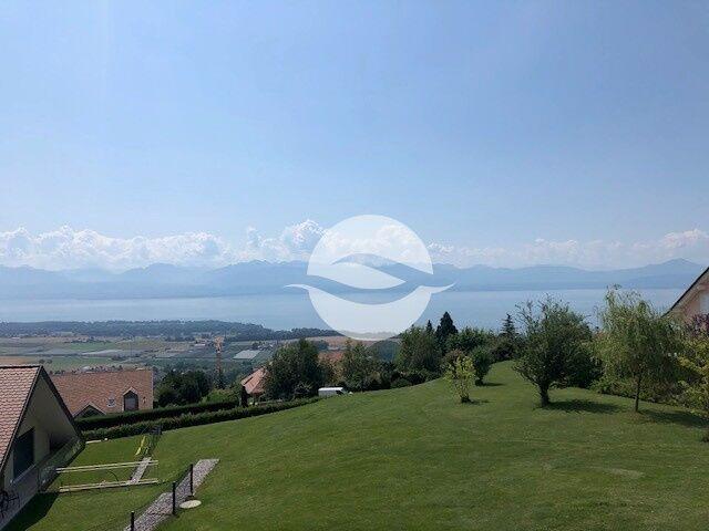 Magnificent 6.5-room penthouse - Lake and Alps views