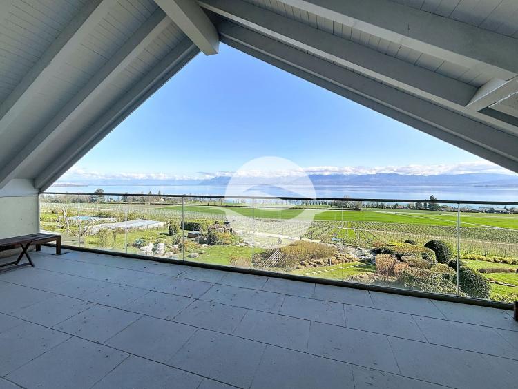 Superb furnished apartment with Lake and Alps view