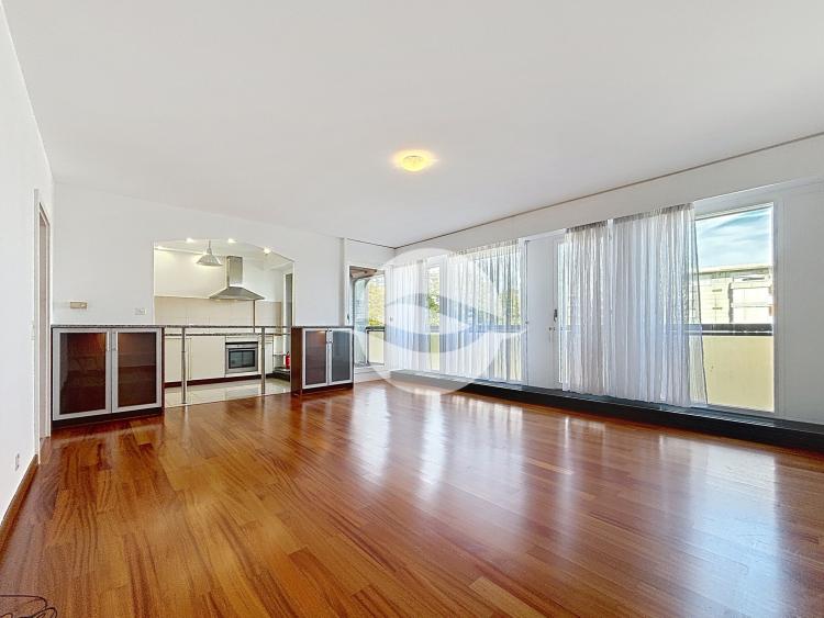 PETIT-SACONNEX - ELEGANT 2-BEDROOM APARTMENT, RENOVATED