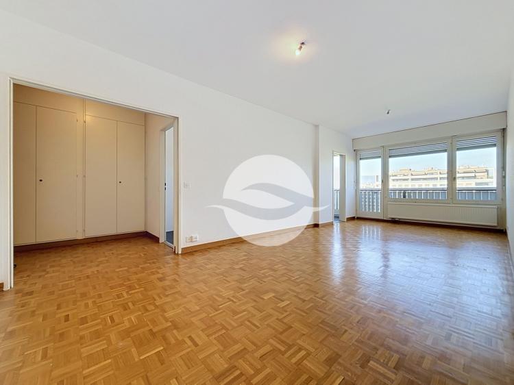 Magnificent 4-room apartment with Jura views 