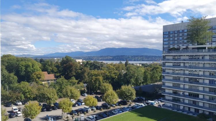 Spacious apartment with lake and park view