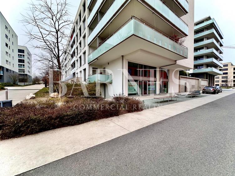 Arcade, offices, premises of 156 m2 for rent in Nyon