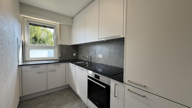 Fully renovated 2-room apartment in the hills above Vevey