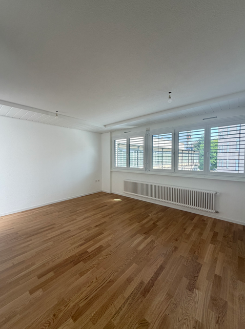 Newly renovated 2.5 room apartment