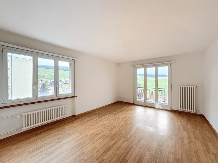 3.5 room apartment with balcony