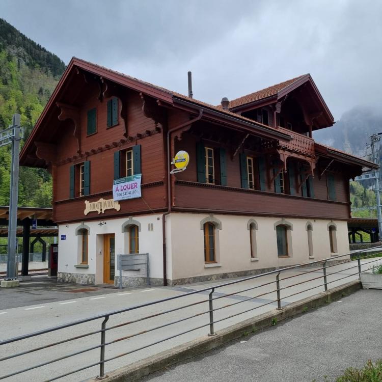 Charming and spacious 1.5 room apartment renovated in 2022