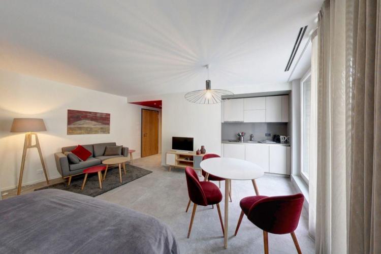 LUXURY FURNISHED RESIDENCE &quot;PETITE COUR&quot; STUDIOS WITH HOTEL SERVICES - AUBERGINE