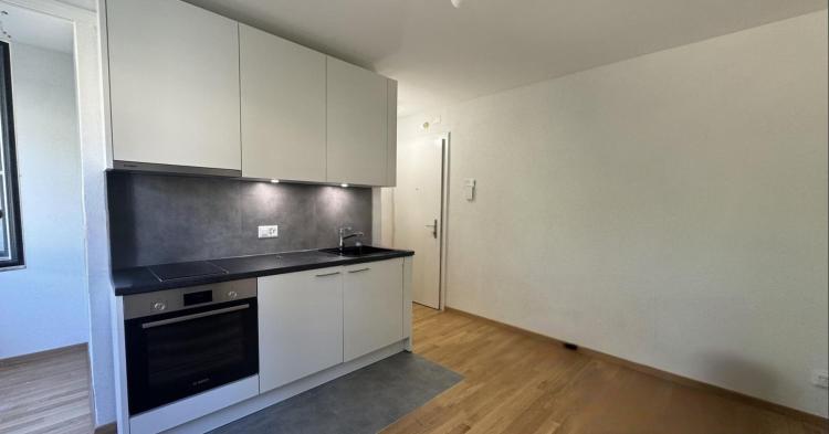 Renovated studio in the hills above Vevey