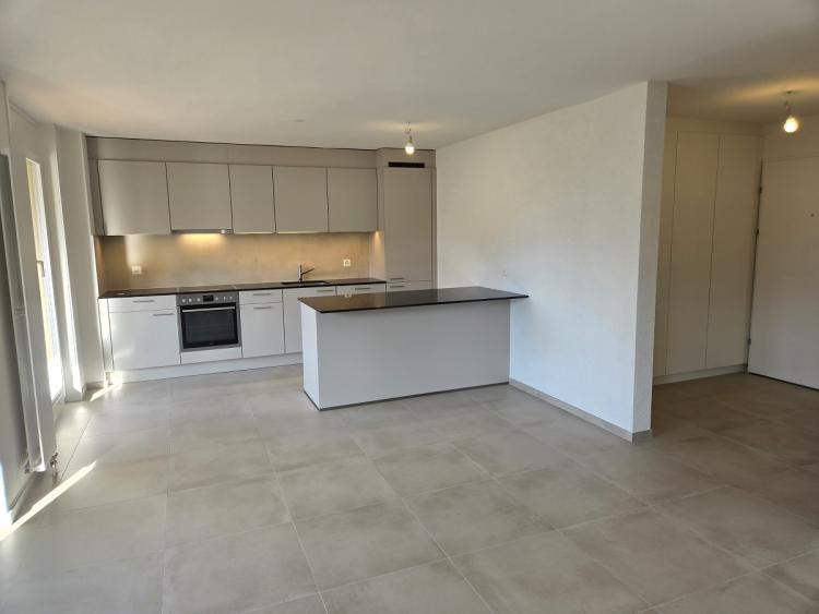 Don't miss out! Great opportunity! Fully renovated 4.5-room apartment in La Tour-de-Peilz
